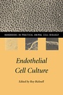 Cover: Endothelial Cell Culture - Cambridge University Press