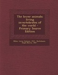 Cover: The Lower Animals; Living Invertebrates of the World - Nabu Press