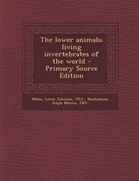 Enlarge image Cover: The Lower Animals; Living Invertebrates of the World - Nabu Press