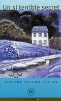 Cover: Un si terrible secret - Klett