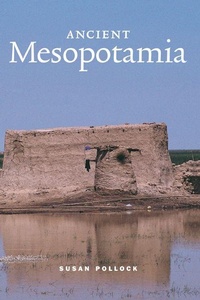 Enlarge image Cover: Ancient Mesopotamia - Cambridge University Press