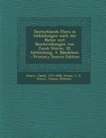 Cover: Deutschlands Flora in Abbildungen Nach Der Natur Mit Beschreibungen Von Jacob Sturm, III. Abtheilung, 4. Bandchen. - Primary Source Edition - Nabu Press