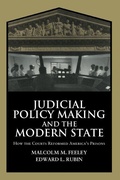 Cover: Judicial Policy Making and the Modern State - Cambridge University Press