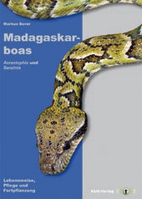 Abbildung von: Madagaskarboas - Kirschner