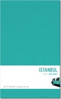 Cover: Istanbul Walking - Michason & May