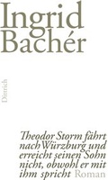 Cover: Theodor Storm f&auml;hrt nach W&uuml;rzburg und erreicht seinen Sohn nicht, obwohl er mit ihm spricht - Dittrich Verlag ein Imprint der Velbr&uuml;ck GmbH B&uuml;cher und Medien