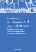 Cover: Lernprozesse und Jugenddelinquenz - Waxmann