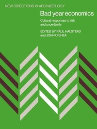 Enlarge image Cover: Bad Year Economics - Cambridge University Press