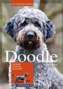 Cover: Doodle - Cadmos Verlag
