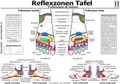 Cover: Fussreflexzonen Tafel - Fussr&uuml;cken & Seiten - A3 (laminiert) - Hawelka, Uwe