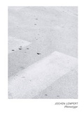 Cover: Jochen Lempert. Phenotype - K&ouml;nig, Walther
