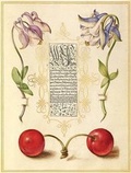Cover: Mira Calligraphiae Monumenta - Galison