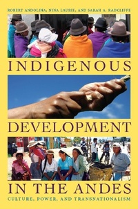 Enlarge image Cover: Indigenous Development in the Andes - De Gruyter