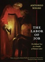 Cover: The Labor of Job - De Gruyter