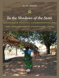 Cover: In the Shadows of the State - De Gruyter