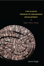 Cover: The Elusive Promise of Indigenous Development - De Gruyter