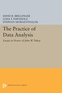 Cover: The Practice of Data Analysis - Princeton University Press