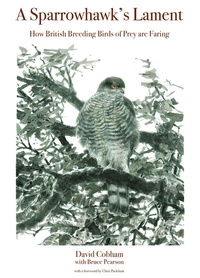 Abbildung von: A Sparrowhawk's Lament - Princeton University Press