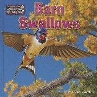 Enlarge image Cover: Barn Swallows - Bearport Books