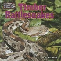 Enlarge image Cover: Timber Rattlesnakes - Bearport Books