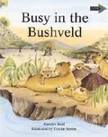 Cover: Busy in the Bushveld South African edition - Cambridge University Press
