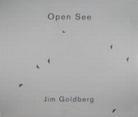 Enlarge image Cover: Open See - Steidl