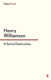 Enlarge image Cover: A Test to Destruction - Faber & Faber