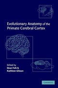 Cover: Evolutionary Anatomy of the Primate Cerebral Cortex - Cambridge University Press