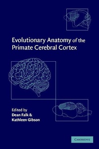Enlarge image Cover: Evolutionary Anatomy of the Primate Cerebral Cortex - Cambridge University Press