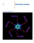 Cover: Human Molecular Biology - Cambridge University Press