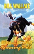 Cover: Running Wild - Aladdin