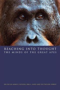 Cover: Reaching into Thought - Cambridge University Press