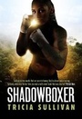Cover: Shadowboxer - Ravenstone