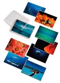 Cover: David Doubilet; Water Light Time Postcards - Phaidon Press Ltd