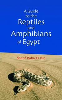 Abbildung von: Guide to the Reptiles and Amphibians of Egypt - I.B.Tauris
