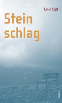 Enlarge image Cover: Steinschlag - Limmat