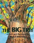 Cover: The Big Tree - ShiresPress