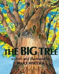 Enlarge image Cover: The Big Tree - ShiresPress