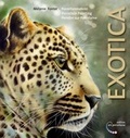 Cover: Porzellanmalerei, Exotica - edition ars porcellana
