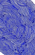 Cover: Peacocks With Hiccups - Sternberg Press