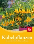 Cover: K&uuml;belpflanzen - BLV