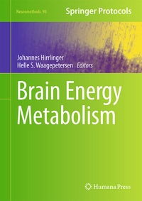 Abbildung von: Brain Energy Metabolism - Humana