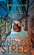 Cover: The View from Endless Street - WiDo Publishing