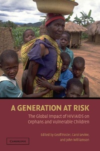 Enlarge image Cover: A Generation at Risk - Cambridge University Press