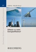 Cover: Effektiv zu mehr Energieeffizienz? - Boorberg