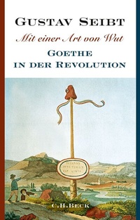 Enlarge image Cover: Mit einer Art von Wut - C.H.BECK