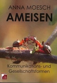 Abbildung von: Ameisen - IL-Verlag GmbH