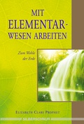 Cover: Mit Elementarwesen arbeiten - Silberschnur