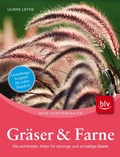 Cover: Gr&auml;ser und Farne - BLV