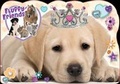 Cover: Playful Puppy - Autumn Publishing Ltd